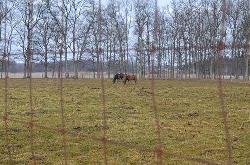 Property photo 90 - 98+/- Acres Offered in 6 Tracts or Combinations, Noble County, Indiana Farm